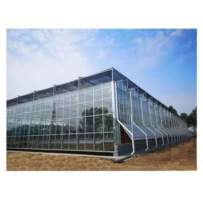 Progetto chiavi in mano per la coltivazione delle verdure