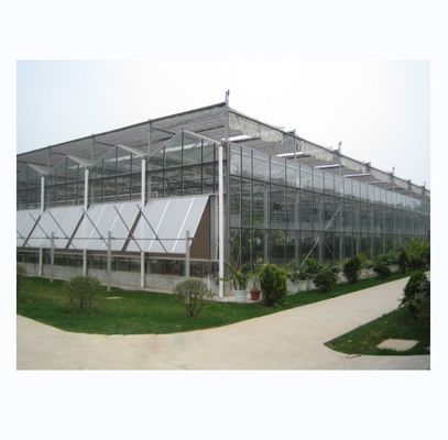 Massimizzare il raccolto Super forte resistenza Multi Span serra agricola