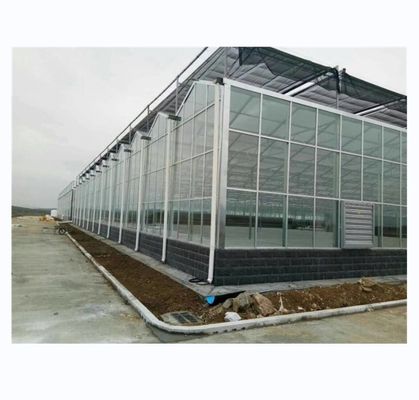 Serra in vetro di vetro Venlo a super forte resistenza per il progetto commerciale agricolo chiavi in mano