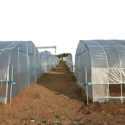 Serra agricola mono-spano rivestita con pellicola per la coltivazione idroponica