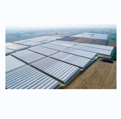 Dimensioni personalizzabili Serre agricole multi-span con tubo di acciaio galvanizzato a caldo