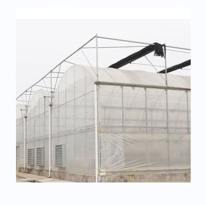 Serre agricole multi-span con rivestimento in pellicola PE e connessione a canaglia