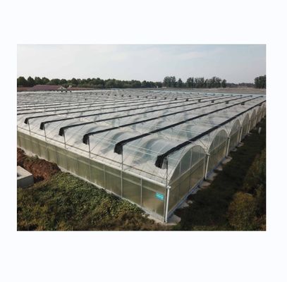 Serra commerciale a pellicola multi-span con sistema di ombrello esterno e larghezza di baia di 4 m