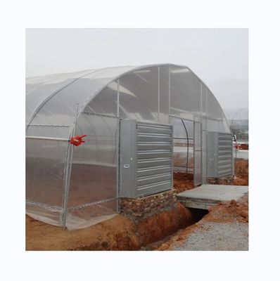 Sistema di raffreddamento Serre agricole a singolo tratto per l'agricoltura dei pomodori