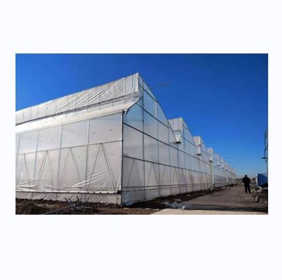 Serra con denti da segale di grandi dimensioni con galleria politecnica con ventilazione