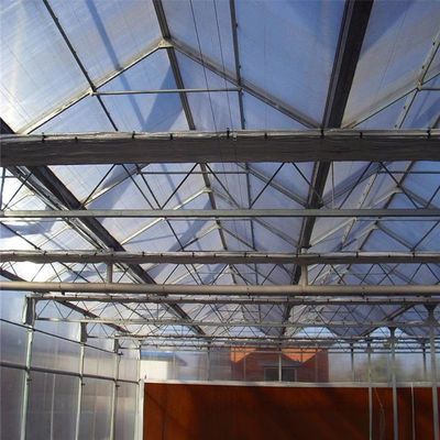 8m 9,6m 12m larghezza di spirale serra agricola per semi e verdure di pomodoro ibrido