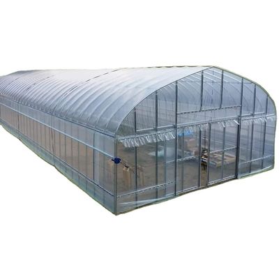 2.5-5M Altezza Pomodoro Hydroponic Alto tunnel Agricoltura Serra con film