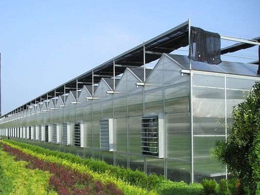 8m 9,6m 12m larghezza di spirale serra agricola per semi e verdure di pomodoro ibrido