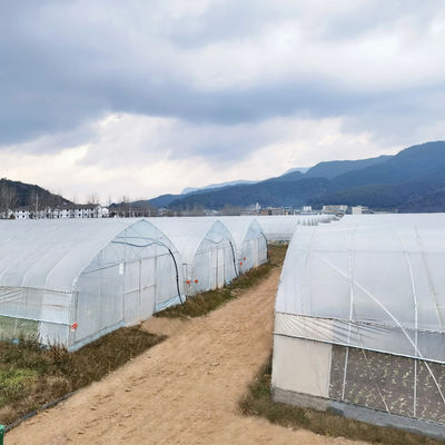 2.5-5M Altezza Pomodoro Hydroponic Alto tunnel Agricoltura Serra con film