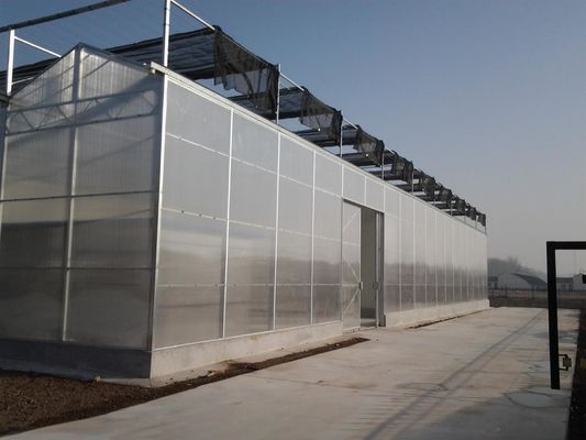 8m 9,6m 12m larghezza di spirale serra agricola per semi e verdure di pomodoro ibrido