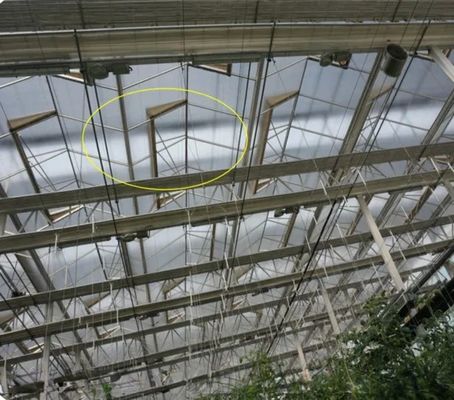 Struttura del telaio in acciaio galvanizzato a caldo Serre in vetro Venlo per l'agricoltura vegetale