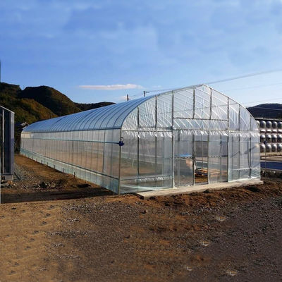2.5-5M Altezza Pomodoro Hydroponic Alto tunnel Agricoltura Serra con film