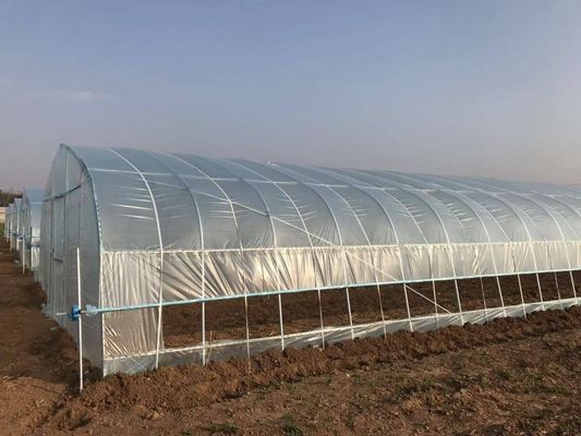 2.5-5M Altezza Pomodoro Hydroponic Alto tunnel Agricoltura Serra con film