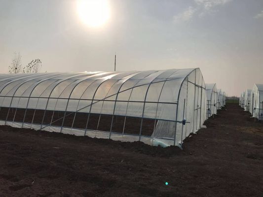 2.5-5M Altezza Pomodoro Hydroponic Alto tunnel Agricoltura Serra con film