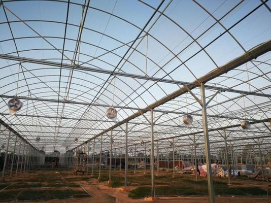 4.0-8.0M Altezza Agricoltura Multi Span Plastic Film Greenhouse For Tomato Turnkey Project