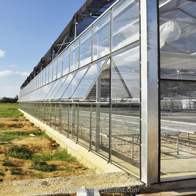Progetto chiavi in mano per la coltivazione delle verdure