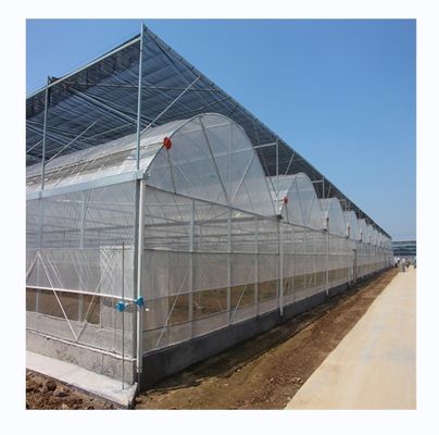 Materiale di copertura per pellicola Agricoltura Serra multi-span con tubo di acciaio galvanizzato