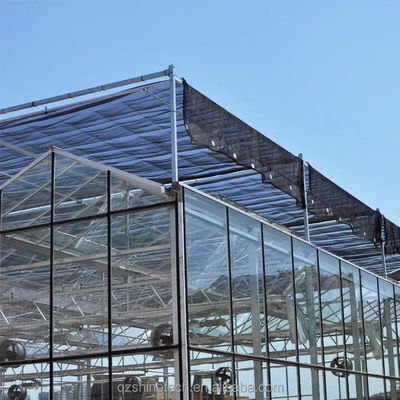 Progetto chiavi in mano per la coltivazione delle verdure