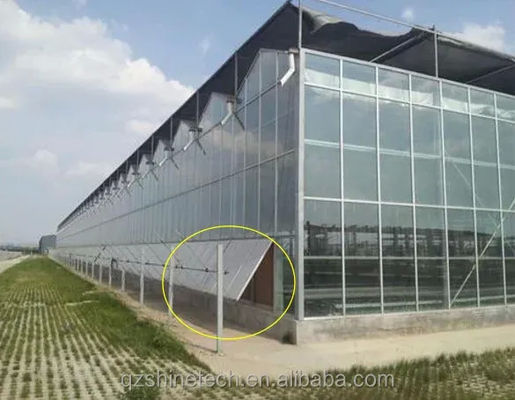 Progetto chiavi in mano per la coltivazione delle verdure