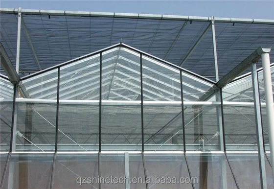 Progetto chiavi in mano per la coltivazione delle verdure