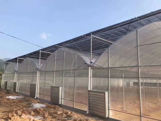 Materiale di copertura per pellicola Agricoltura Serra multi-span con tubo di acciaio galvanizzato