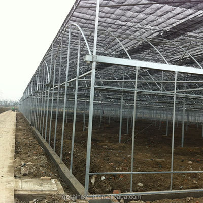 Materiale di copertura per pellicola Agricoltura Serra multi-span con tubo di acciaio galvanizzato