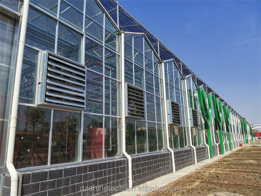 Progetto chiavi in mano per la coltivazione delle verdure