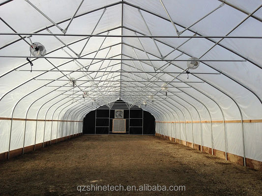 Serra a pellicola PE a lunghezza unica per pomodori con telaio in acciaio galvanizzato da 6 a 10 m di larghezza