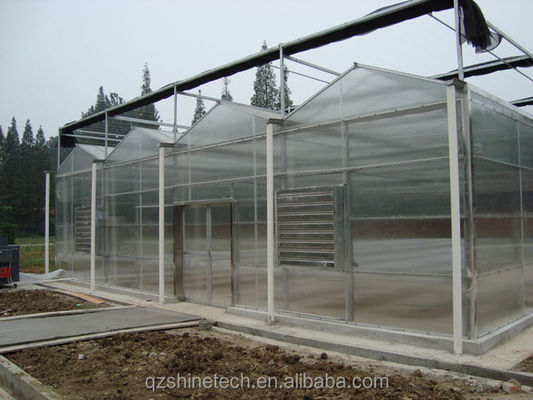Serra agricola commerciale con sistema idroponico e rivestimento in fogli di 8 mm