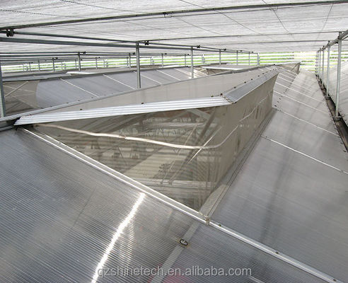 Serra agricola commerciale con sistema idroponico e rivestimento in fogli di 8 mm