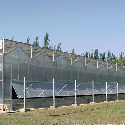 Serra agricola commerciale con sistema idroponico e rivestimento in fogli di 8 mm