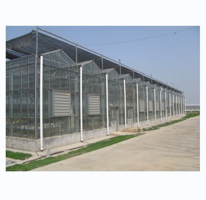 Grande serra agricola con telaio in acciaio galvanizzato e sistema di raffreddamento opzionale