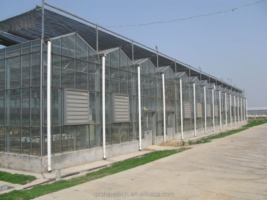 Grande serra agricola con telaio in acciaio galvanizzato e sistema di raffreddamento opzionale