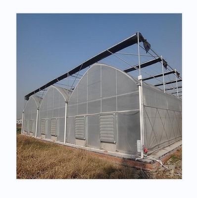 Serra a telaio facile da assemblare per il kit agricolo di pomodori con resistenza super forte