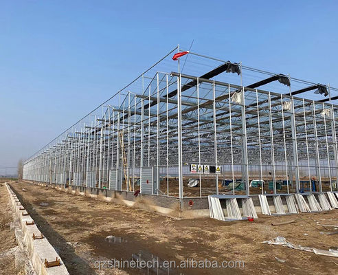 Grande serra agricola con telaio in acciaio galvanizzato e sistema di raffreddamento opzionale