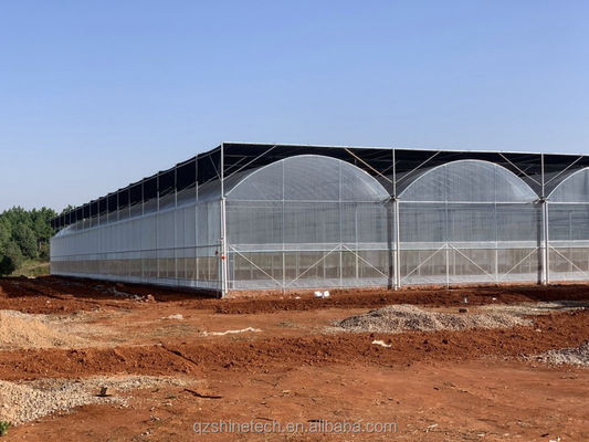 Serra a telaio facile da assemblare per il kit agricolo di pomodori con resistenza super forte
