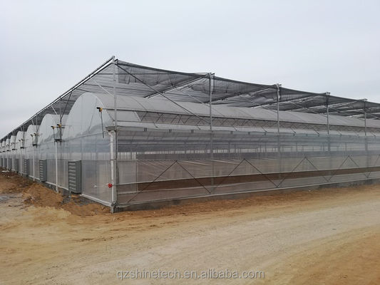 Serra a telaio facile da assemblare per il kit agricolo di pomodori con resistenza super forte