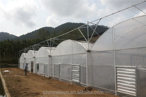 Serra a telaio facile da assemblare per il kit agricolo di pomodori con resistenza super forte
