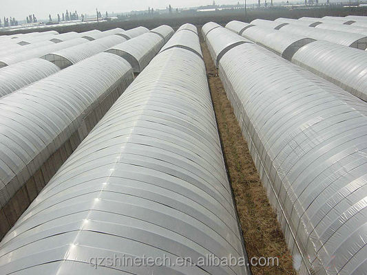 Film per serra per l'agricoltura a caldo galvanizzato a 10-100m di lunghezza