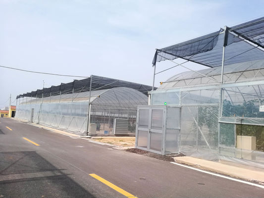 Serra a telaio facile da assemblare per il kit agricolo di pomodori con resistenza super forte