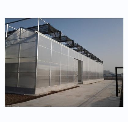 Forte resistenza Multi Span Venlo PC Sheet Greenhouse Arco Policarbonato Greenhouse