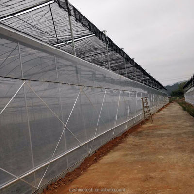 Serra a telaio facile da assemblare per il kit agricolo di pomodori con resistenza super forte