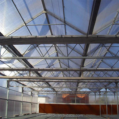 Forte resistenza Multi Span Venlo PC Sheet Greenhouse Arco Policarbonato Greenhouse