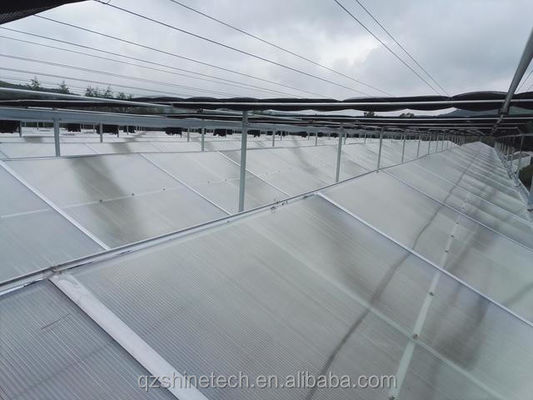 Forte resistenza Multi Span Venlo PC Sheet Greenhouse Arco Policarbonato Greenhouse