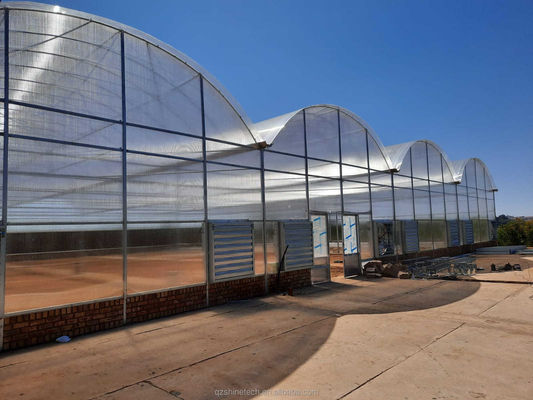 Forte resistenza Multi Span Venlo PC Sheet Greenhouse Arco Policarbonato Greenhouse