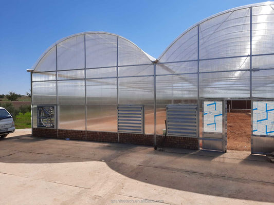 Forte resistenza Multi Span Venlo PC Sheet Greenhouse Arco Policarbonato Greenhouse