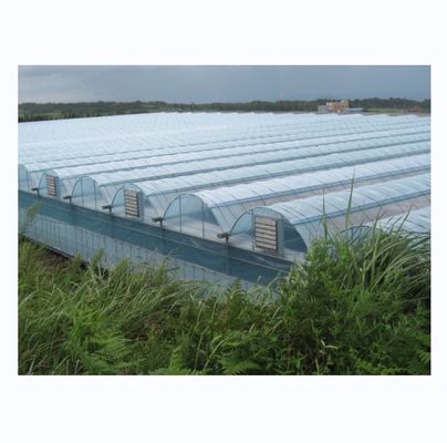 Serra idroponica industriale con resistenza super forte Serra multi-span