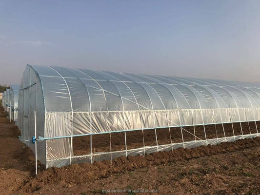 Piccola serra a pellicola ad alta galleria per la coltivazione di pomodori 6-10 m di larghezza