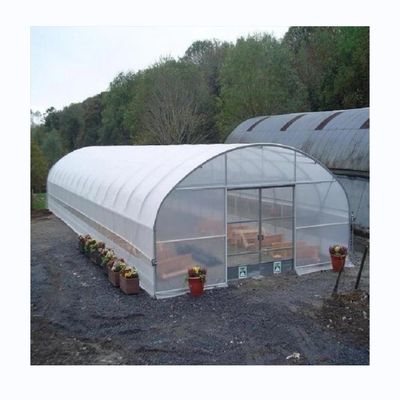 Serra agricola idroponica per pomodori per un rendimento maggiore in un unico progetto di span