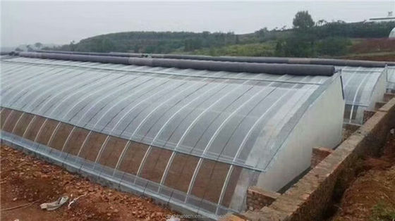 Serre agricole a lunghezza singola con sistema di isolamento a coltre di riscaldamento